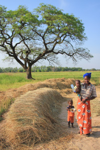 Family standing by hay