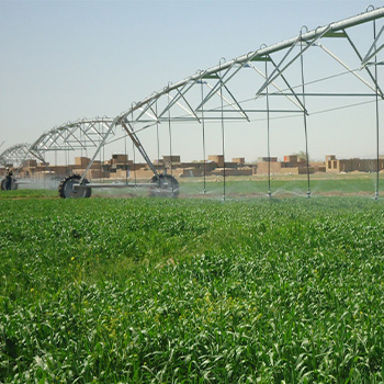 Field of crops being watered by center pivot irrigation system